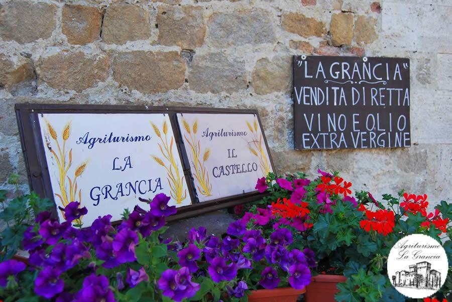 Castello La Grancia Di Spedaletto Pienza